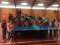 EXHIBICI&Oacute;N TENIS DE MESA